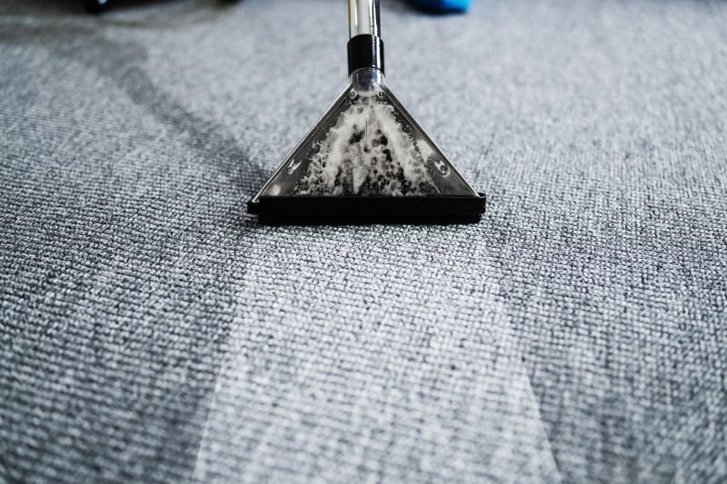 Deep Carpet Cleaning Process