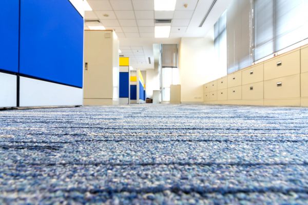 Business Carpet Cleaning in Appleton