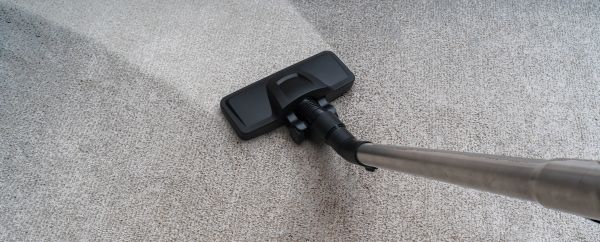 Condo Carpet Cleaning in Appleton